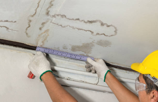 Reliable Water Damage contractor in Forks, WA by Water Damage Irwin